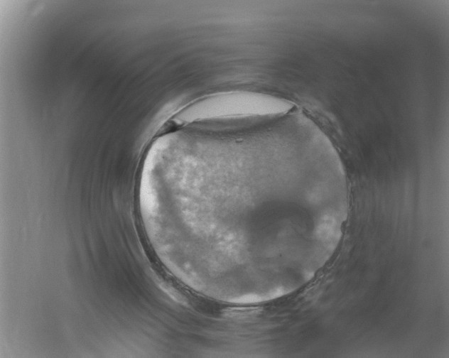 X0000058780051200510282021