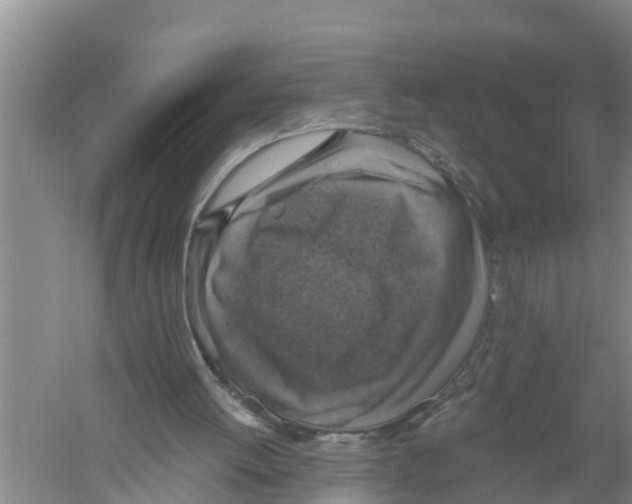 X0000058780052200510282021