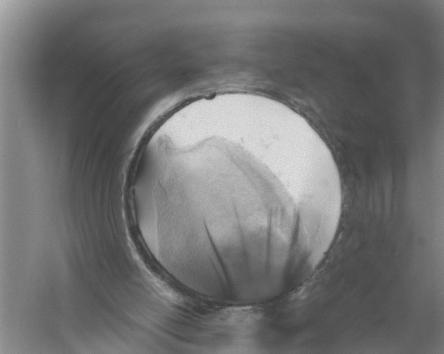 X0000058780054200510282022