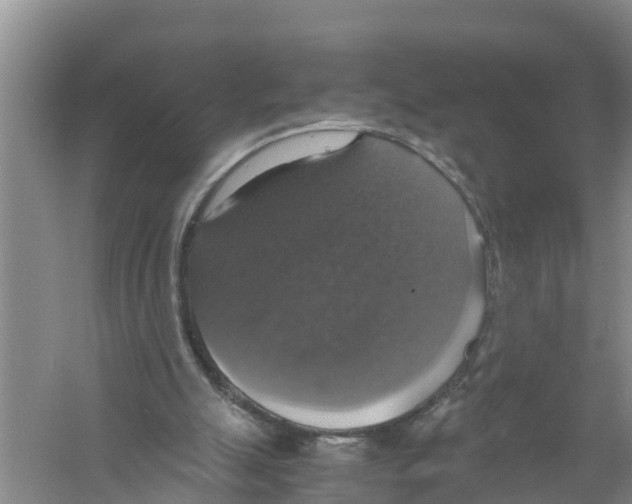 X0000058780055200510282022