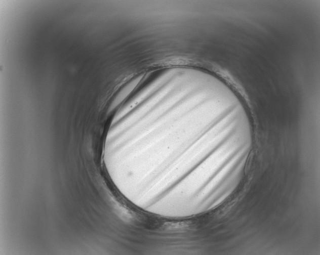 X0000058780057200510282022