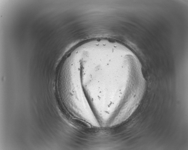 X0000058780060200510282022