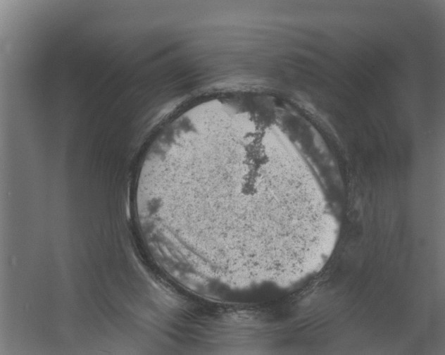 X0000058780062200510282022