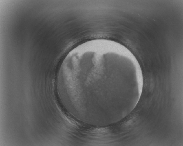 X0000058780063200510282022