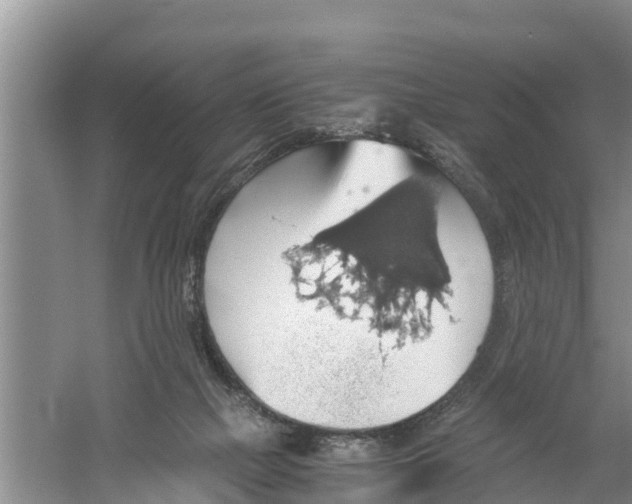 X0000058780073200510282022