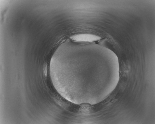 X0000058780076200510282022