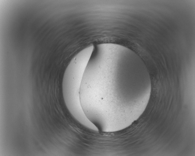 X0000058780080200510282022