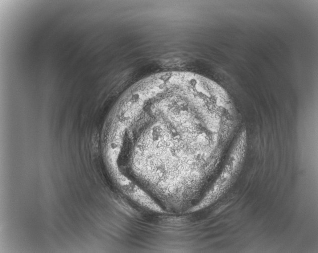 X0000058780081200510282022