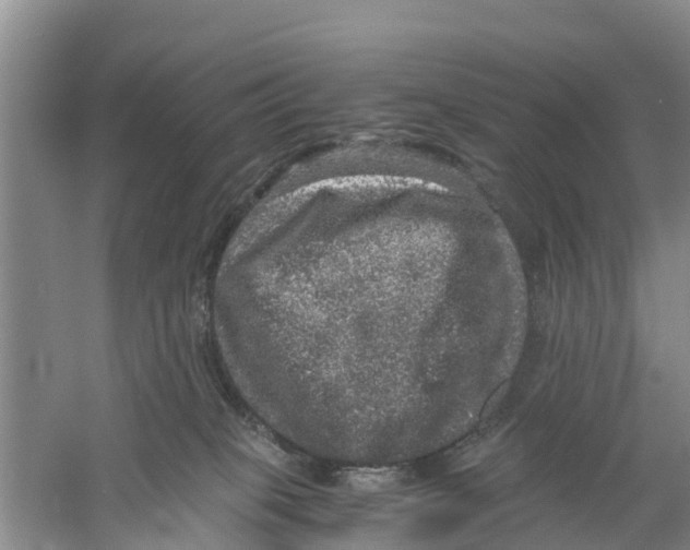 X0000058780085200510282022