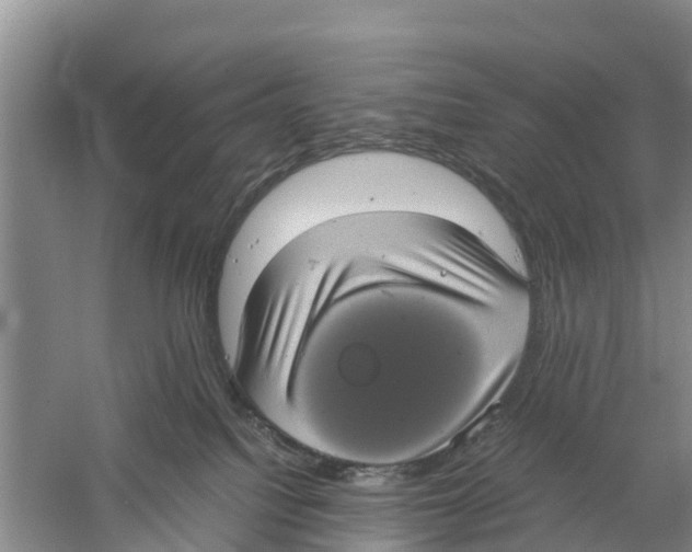 X0000058780088200510282022