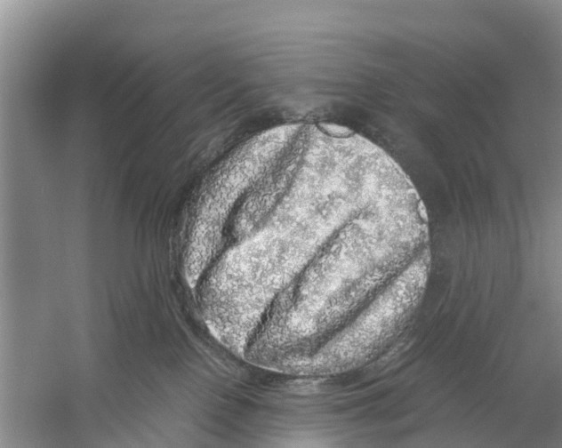 X0000058780090200510282022