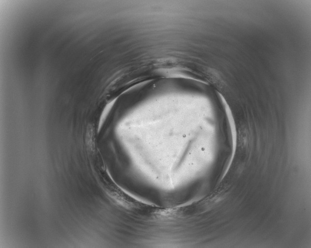 X0000058780092200510282022