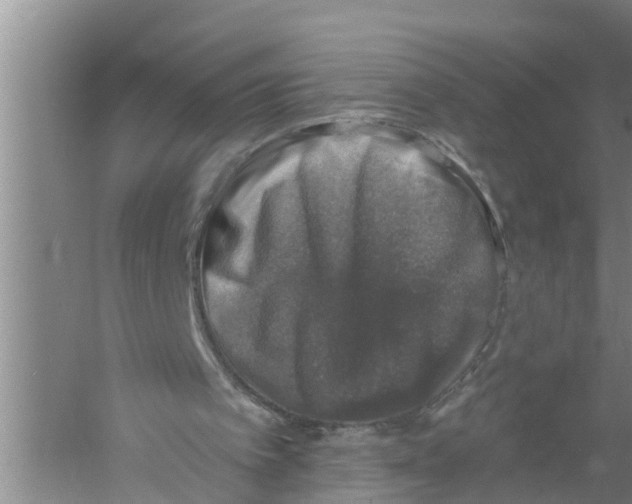 X0000058780097200510282021