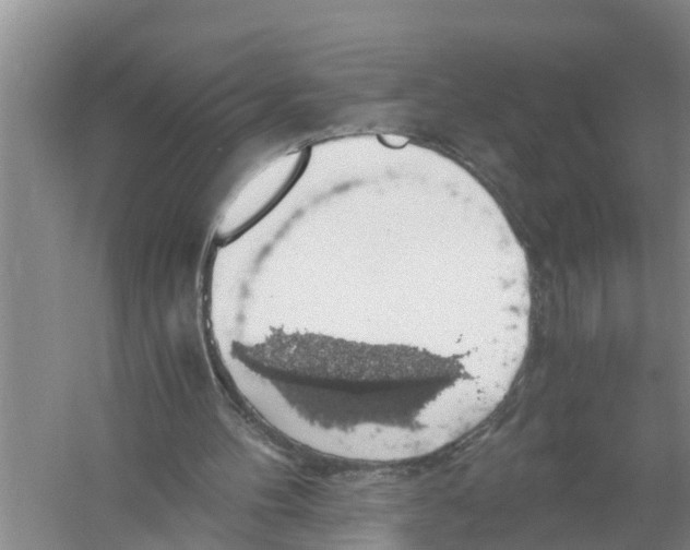 X0000058780100200510282021