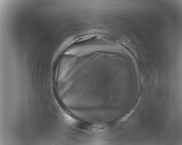 X0000058780101200510282021