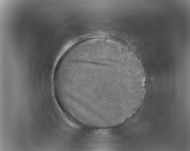 X0000058780102200510282021