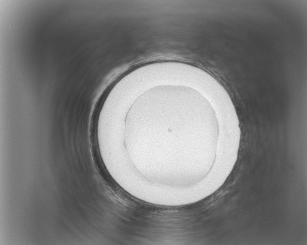 X0000058780104200510282021