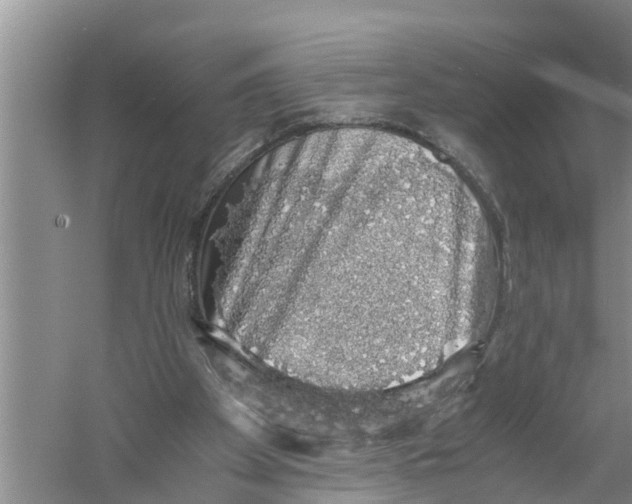 X0000058780105200510282021