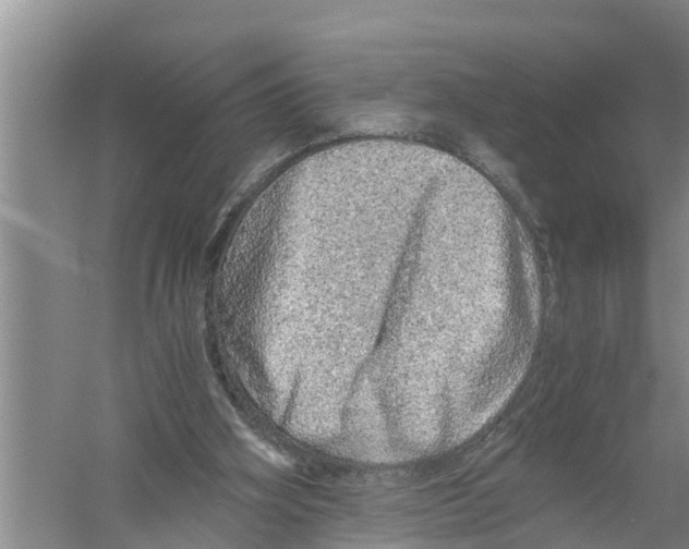 X0000058780106200510282021