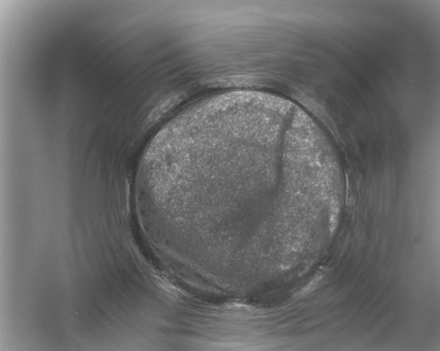 X0000058780109200510282021