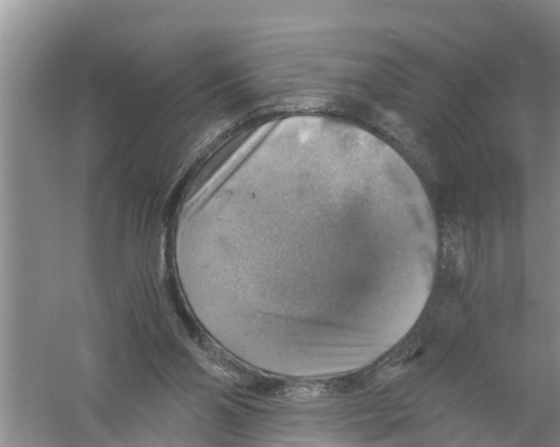 X0000058780110200510282021