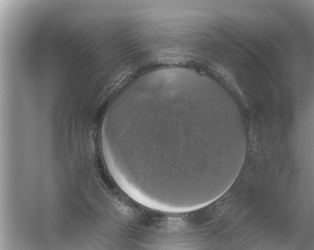 X0000058780114200510282021