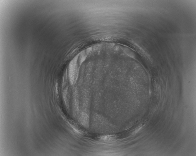 X0000058780117200510282021