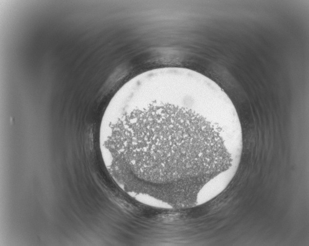 X0000058780120200510282021