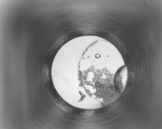 X0000058780124200510282021