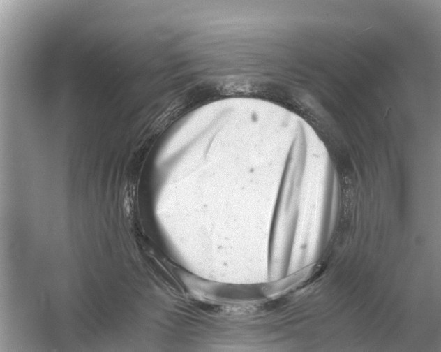 X0000058780125200510282021