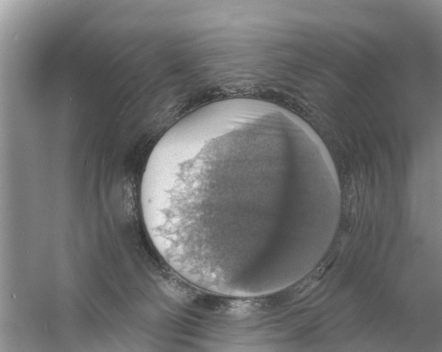 X0000058780130200510282021