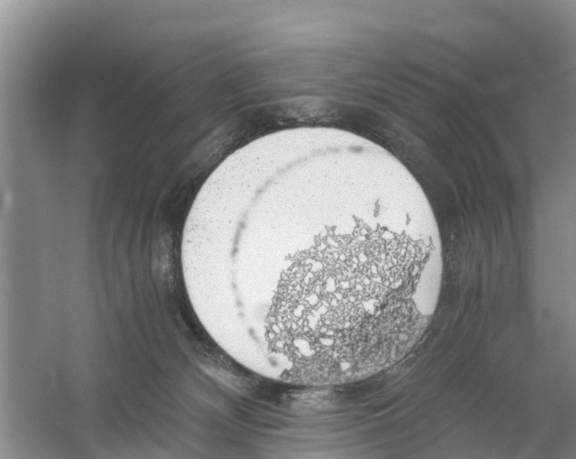 X0000058780132200510282021