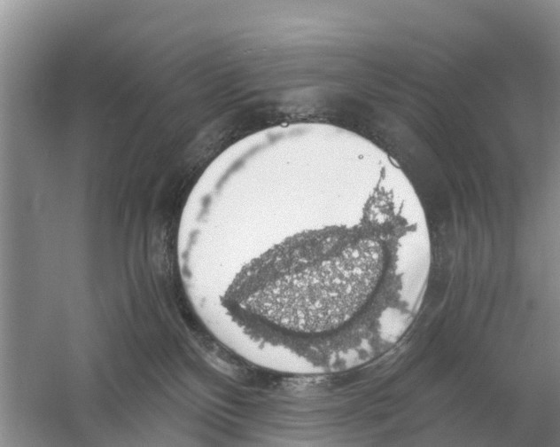 X0000058780136200510282021