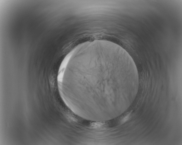 X0000058780139200510282021