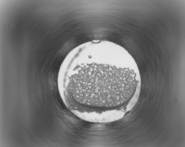 X0000058780140200510282021