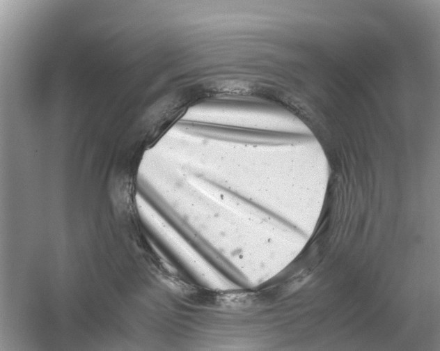 X0000058780141200510282021