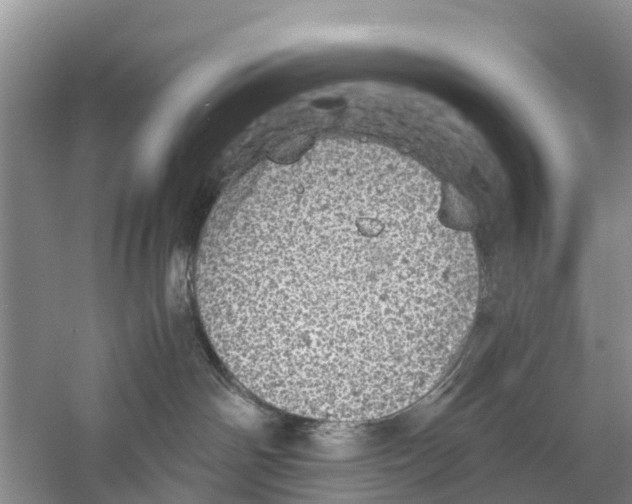 X0000058780142200510282021