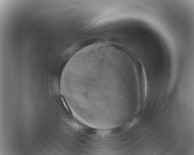 X0000058780143200510282021