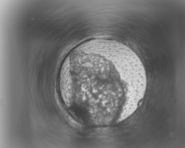 X0000058780145200510282020