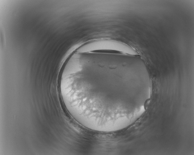 X0000058780147200510282020