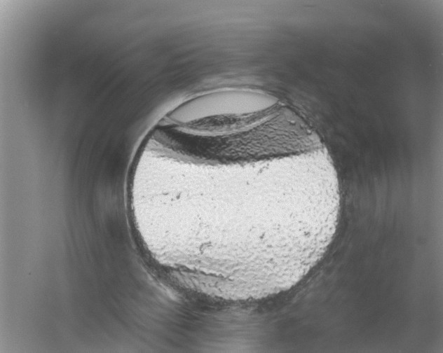 X0000058780148200510282020