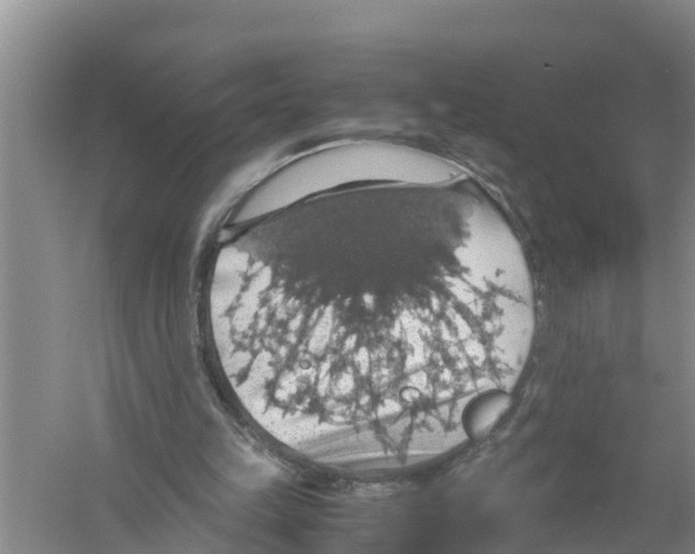 X0000058780149200510282020