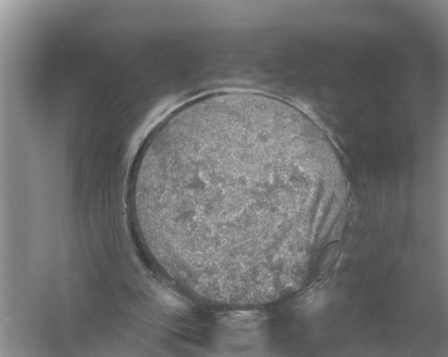 X0000058780151200510282020