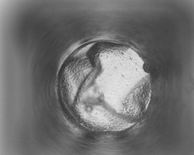 X0000058780152200510282020