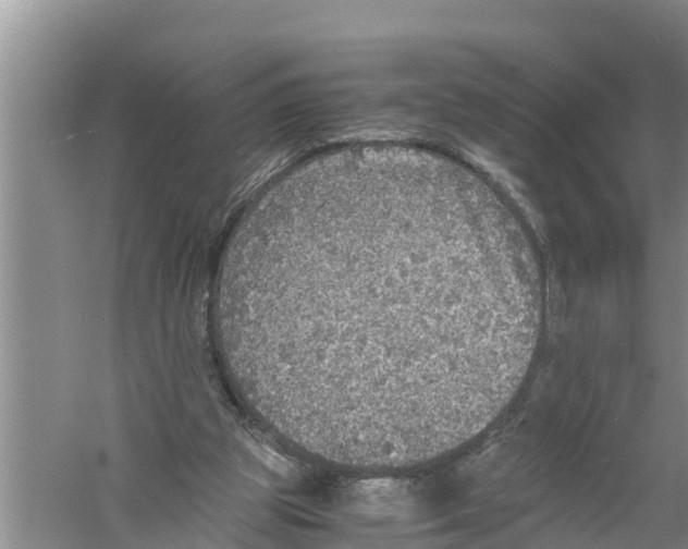 X0000058780153200510282020