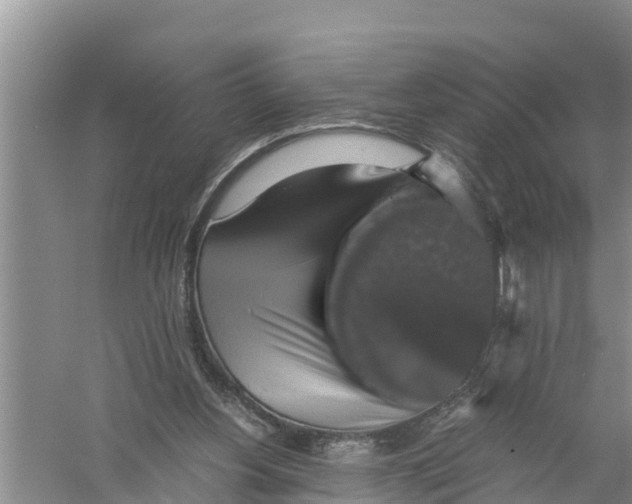 X0000058780156200510282020