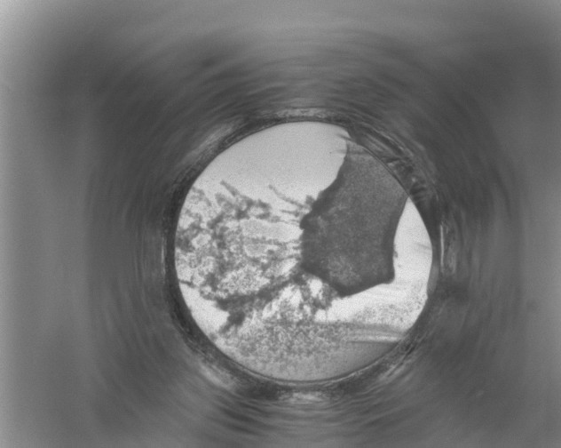 X0000058780157200510282020