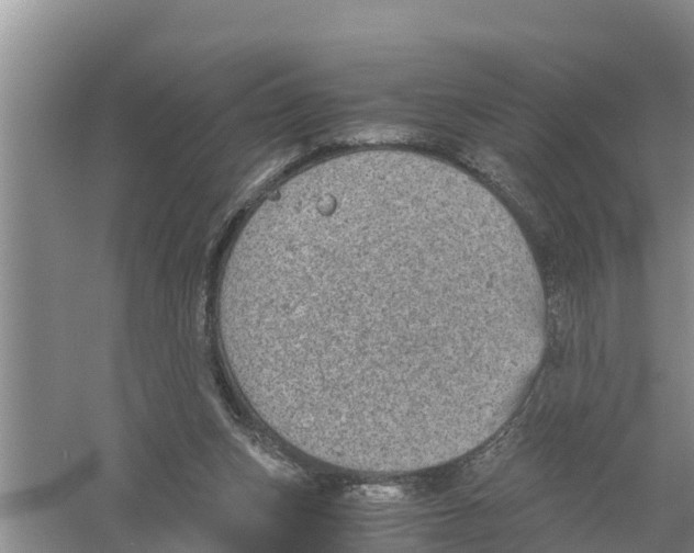 X0000058780159200510282020