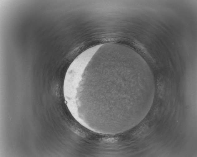 X0000058780161200510282020