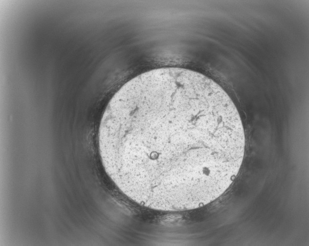 X0000058780162200510282020